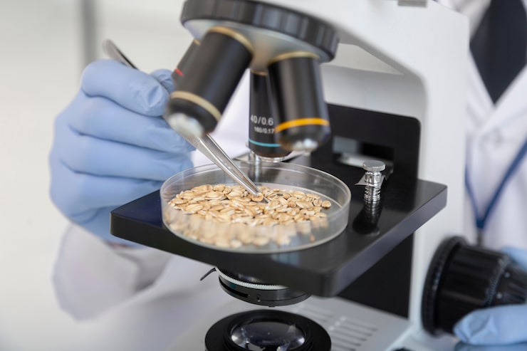 تطوير التركيبات الغذائية